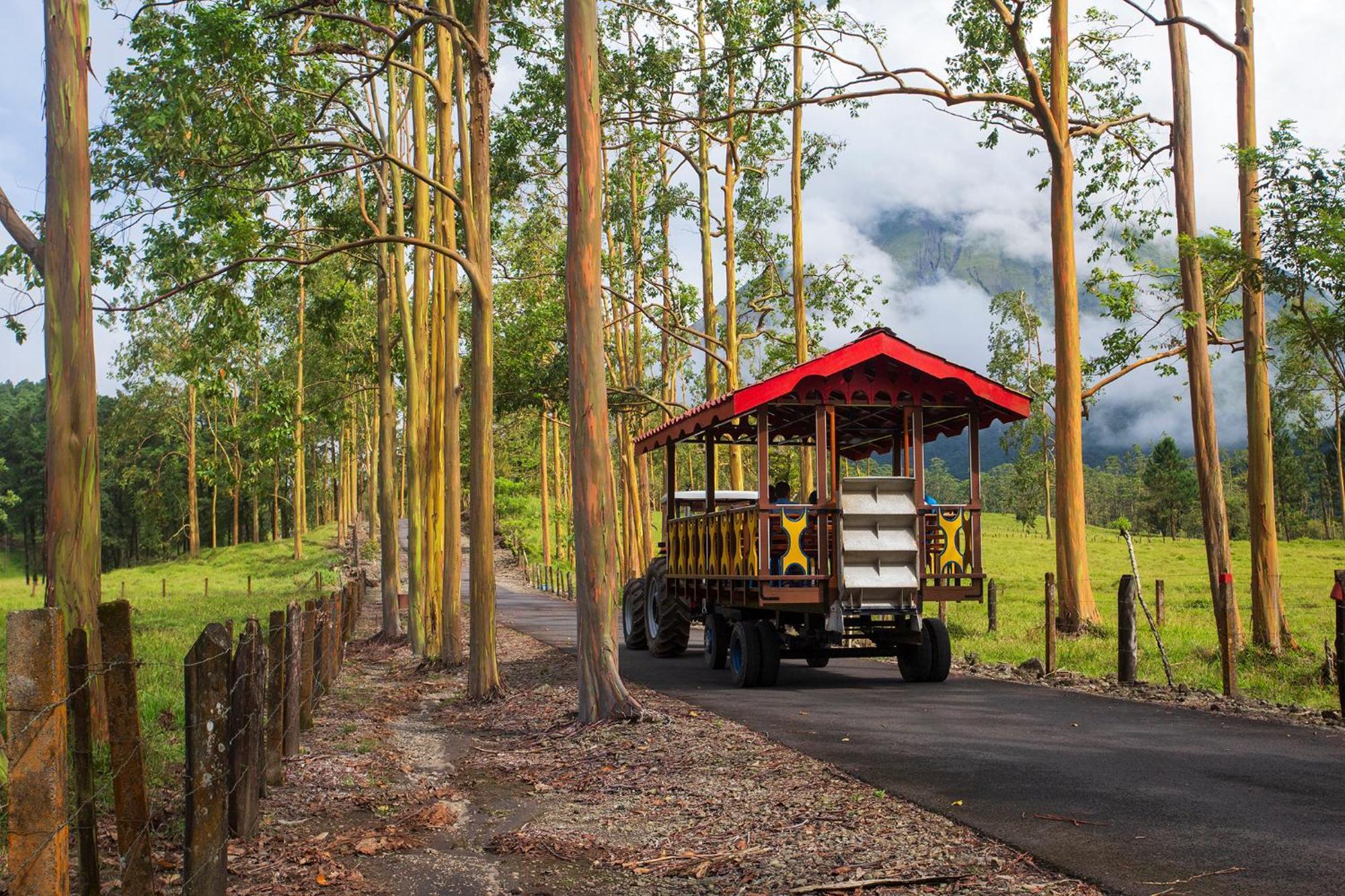 Arenal Observatory Lodge & Trails La Fortuna Exterior photo